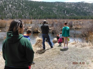Looking for beaver dams Middle St. Vrain River Wild Basin